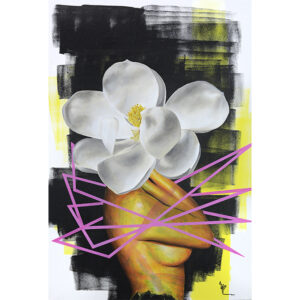 Magnolia